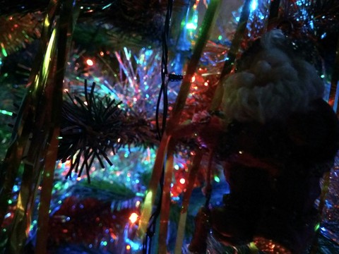 decor, organism壁紙