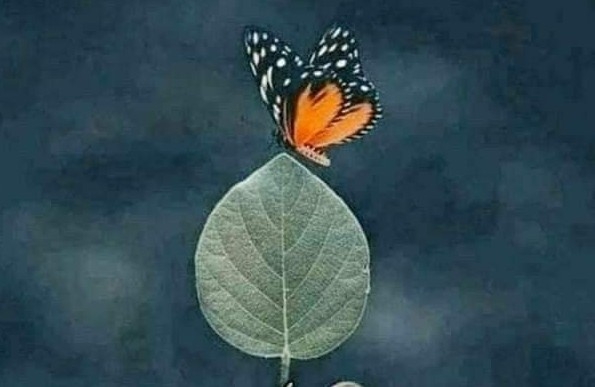 .
