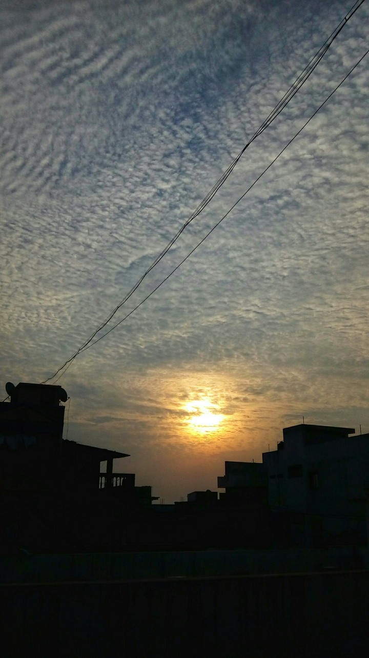 Rise