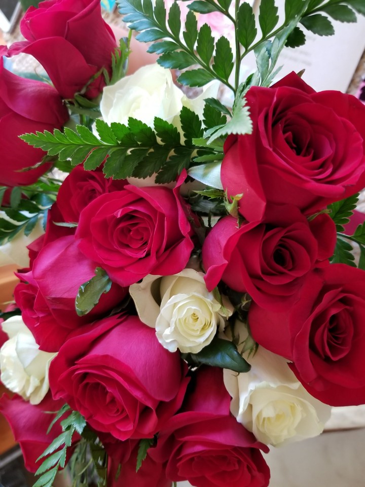 birthday roses!!