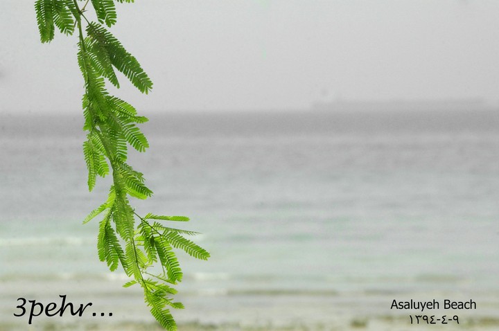 Asluyeh Beach