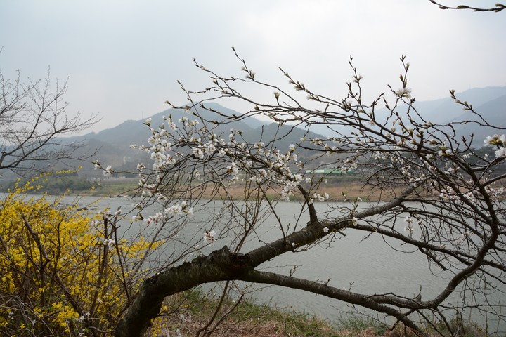 풍경이미지