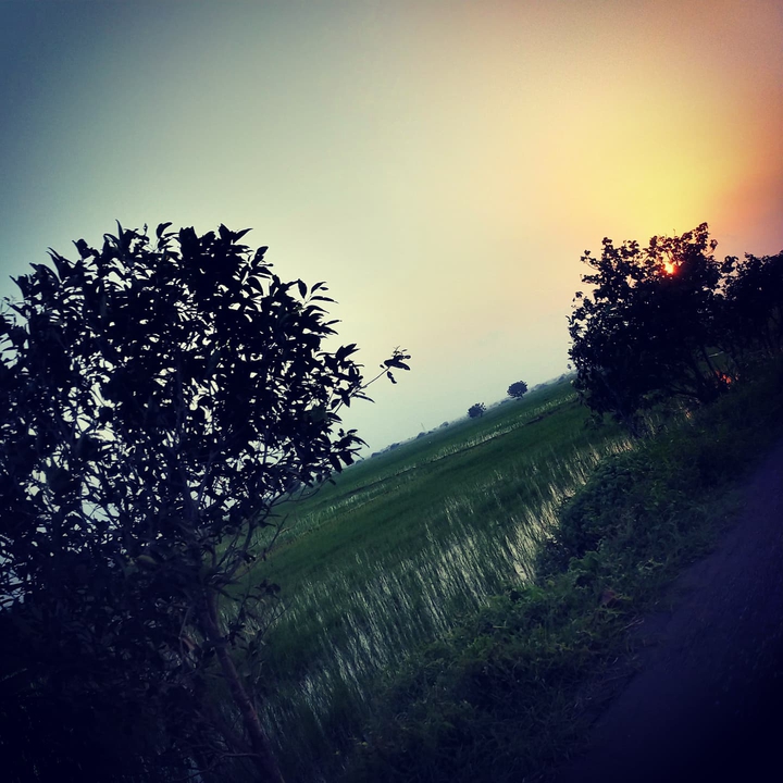 Nature