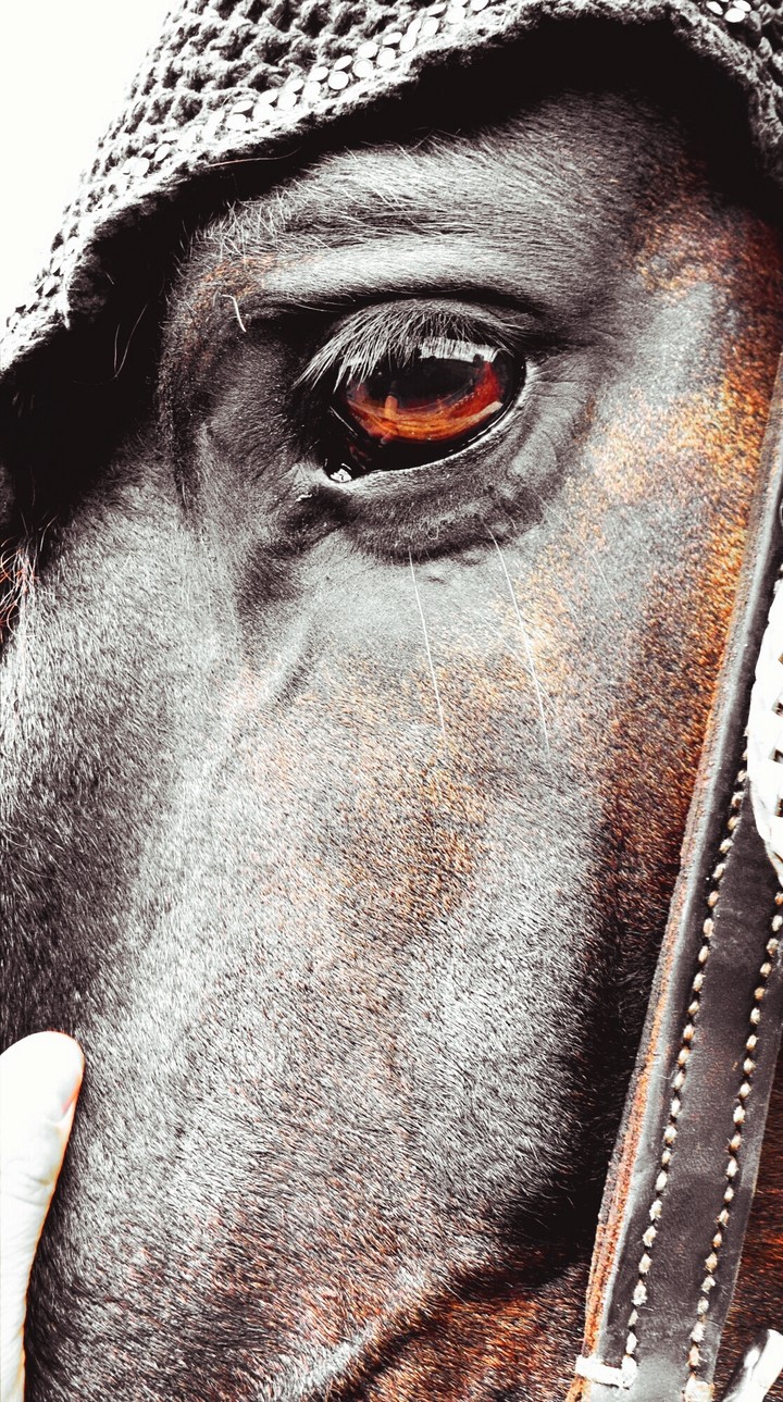 The world in your eye...