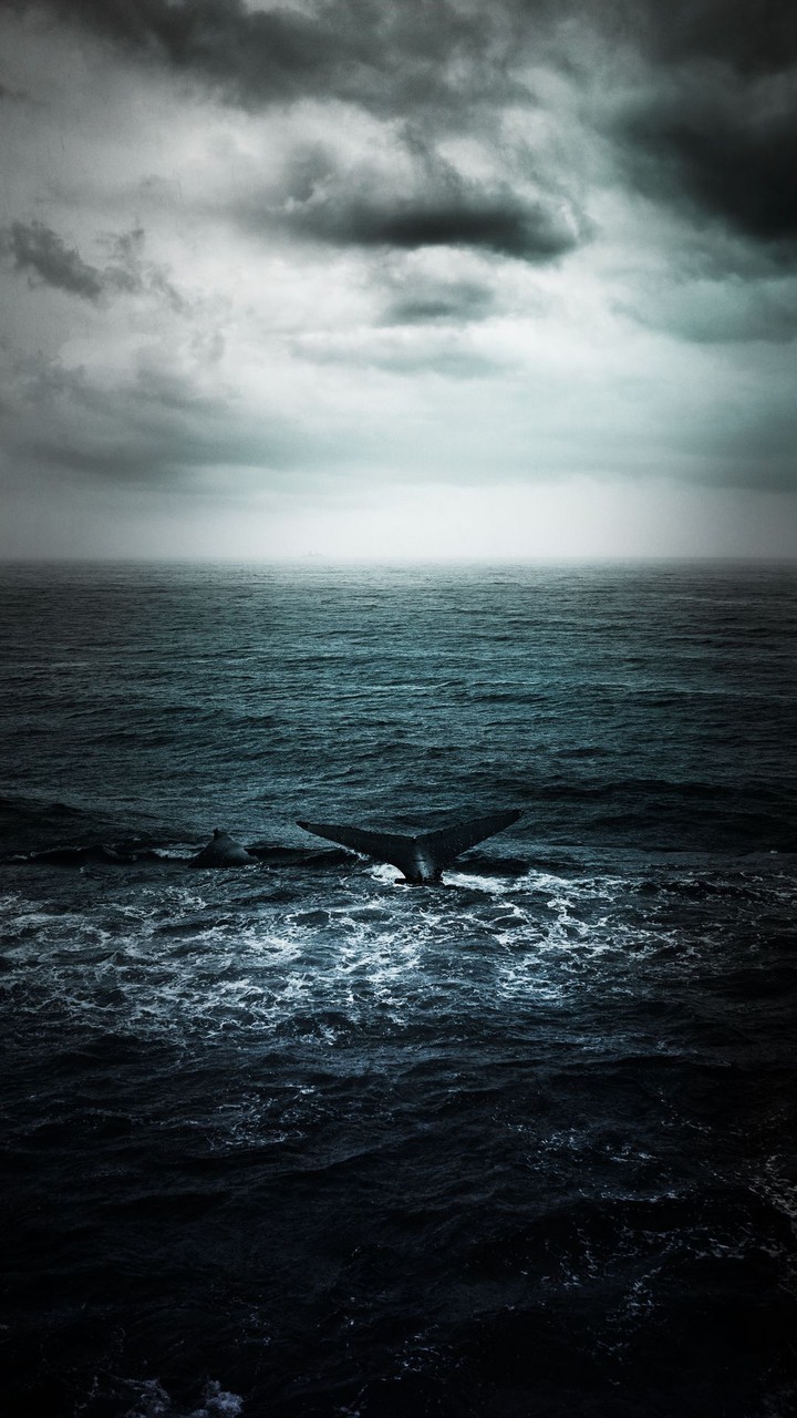 ocean