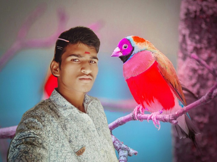 Praveen