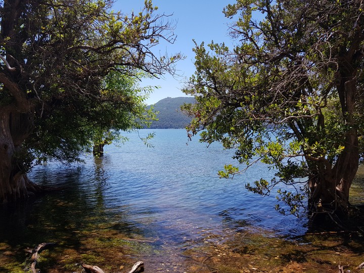 Quila Quina, San Martín de los Andes, Neuquén, Argentina