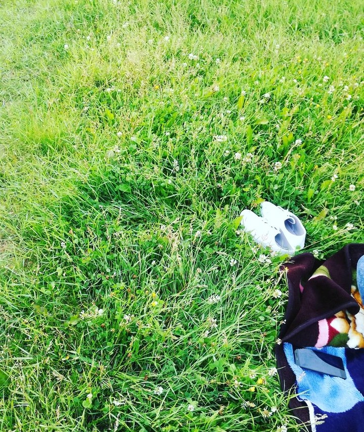 grass , summer
