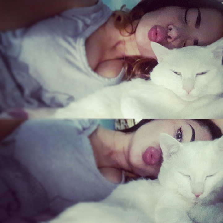 cats