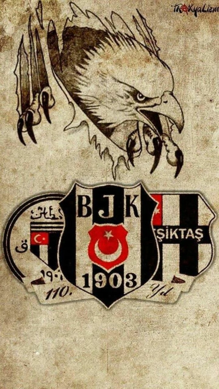 Beşiktaş JK