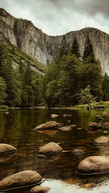 NATURE