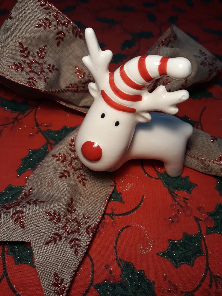 Reindeer