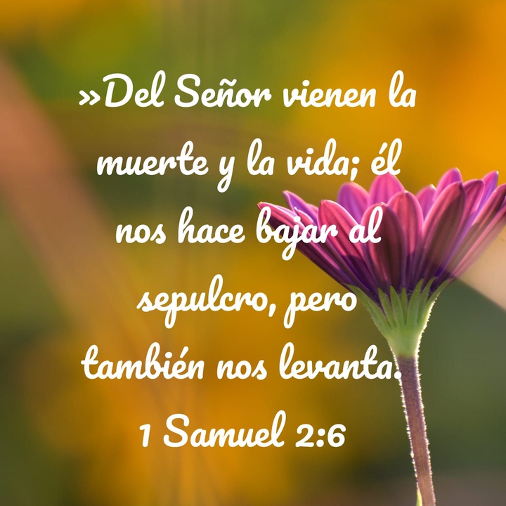 Reflexiones