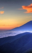 landscapes