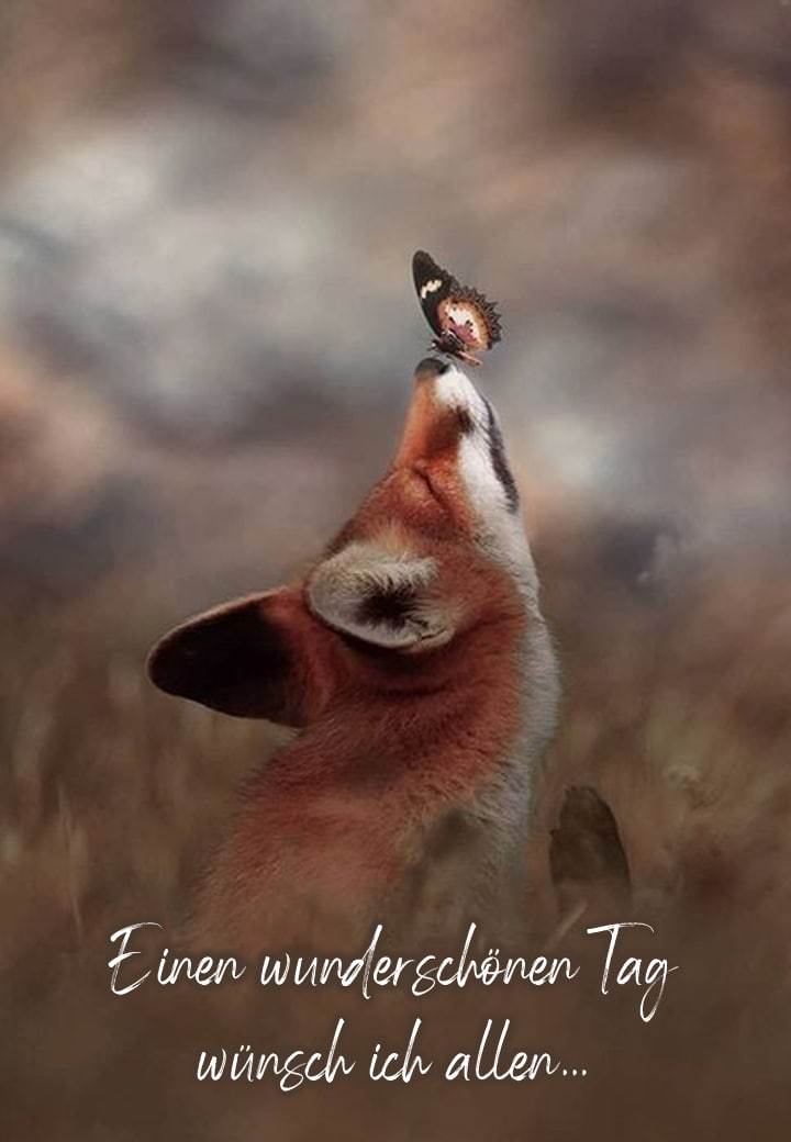 ❤❤❤