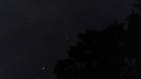 Stars