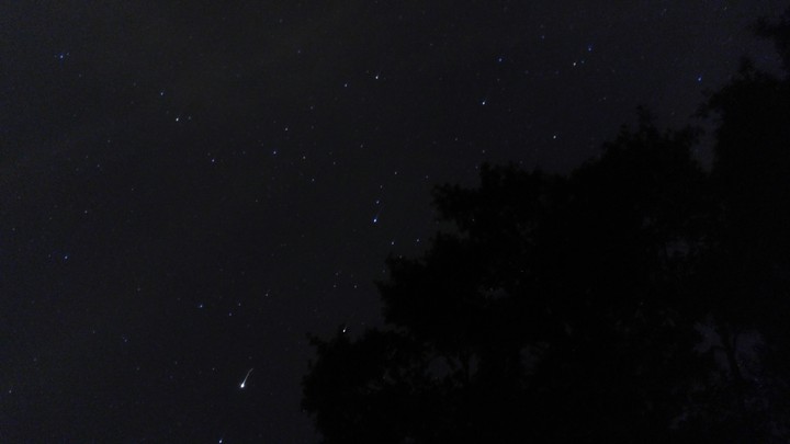 Stars