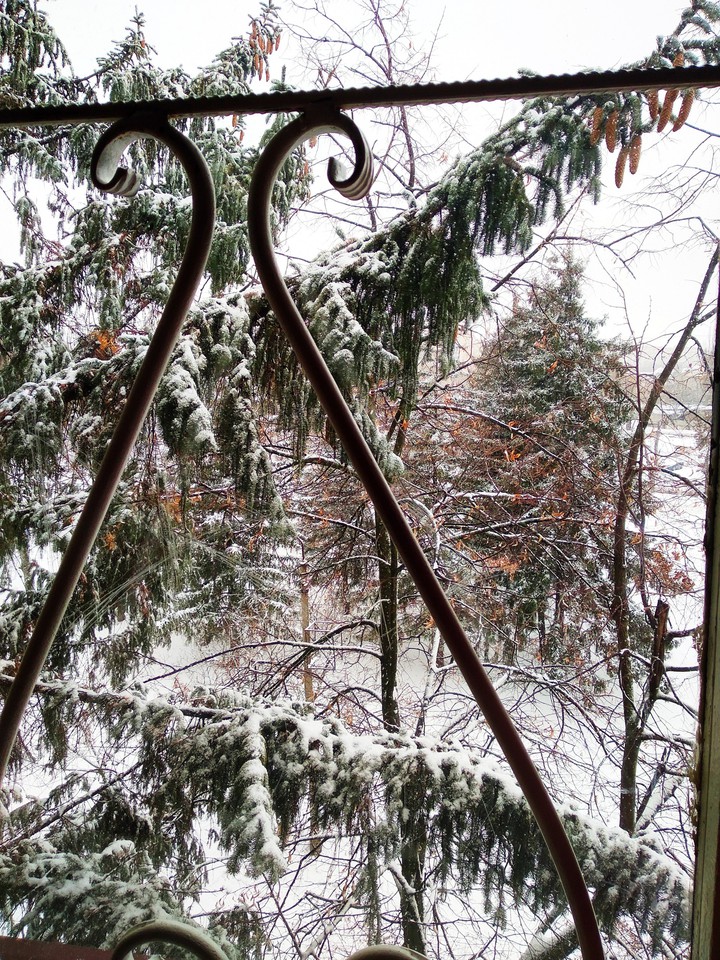 Winter