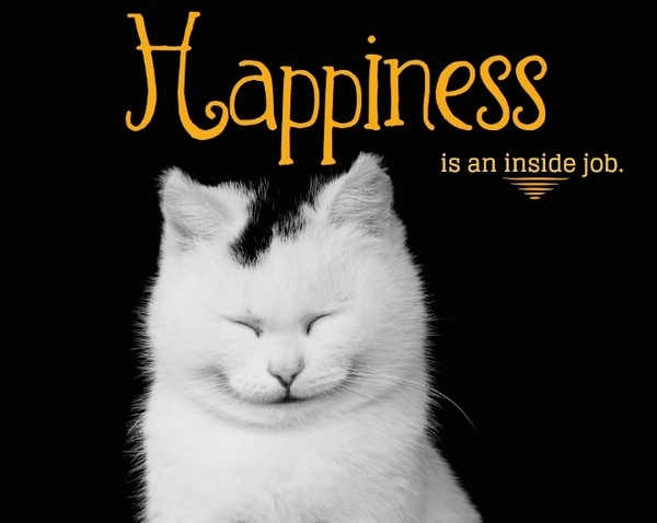 happiness