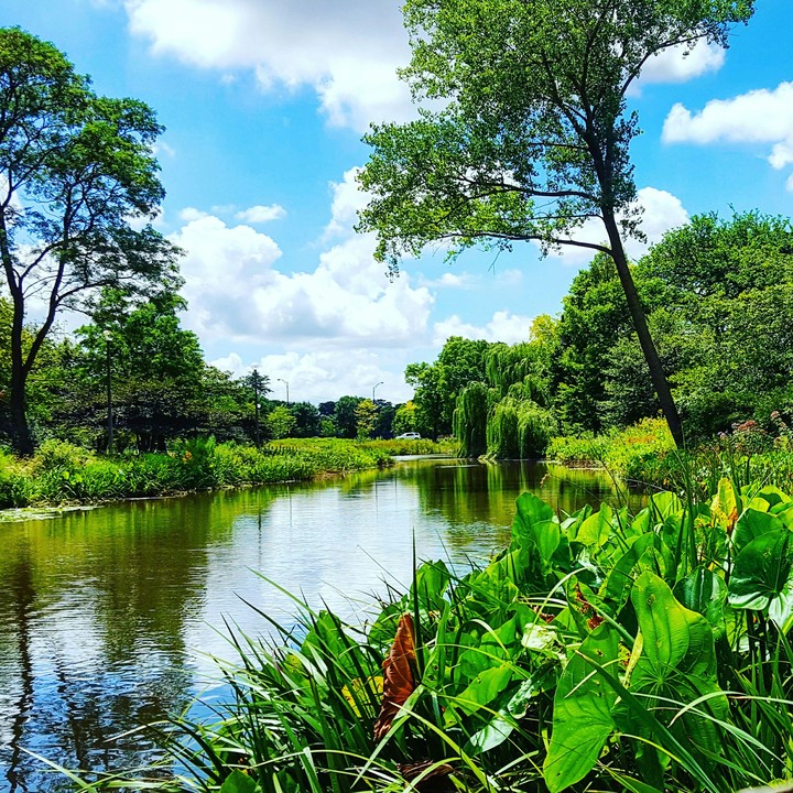 Humboldt Park Lagoon - Chicago