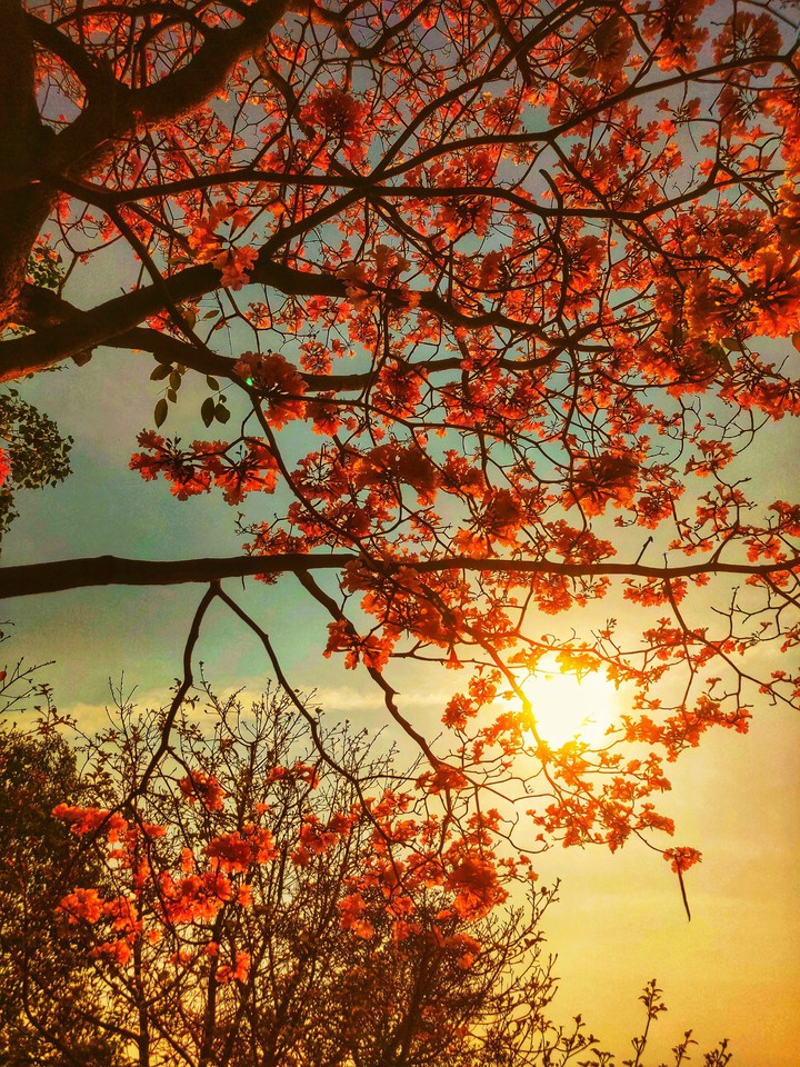 Autumn
