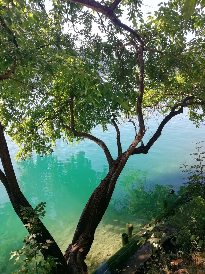 lake