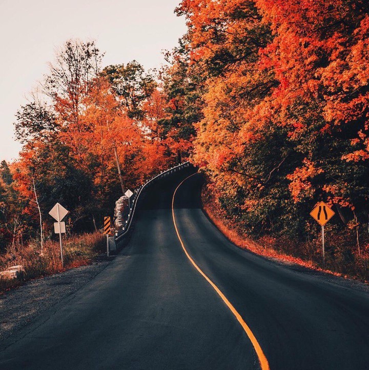 autumn