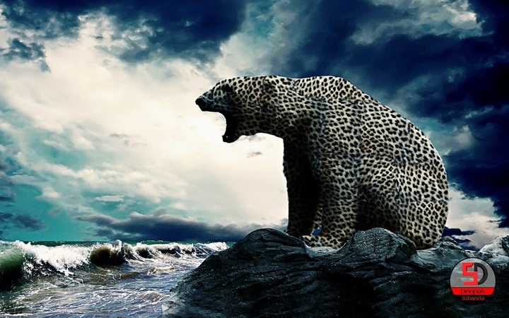 Hybrid bear