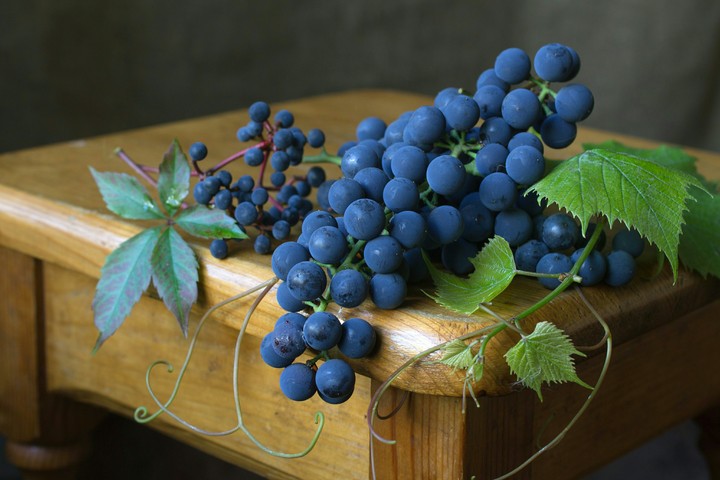 ✴Grapes✴