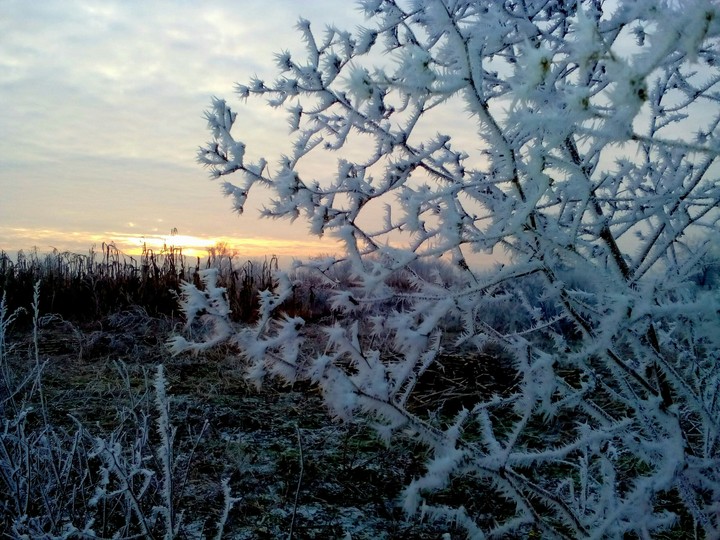 Winter sunset