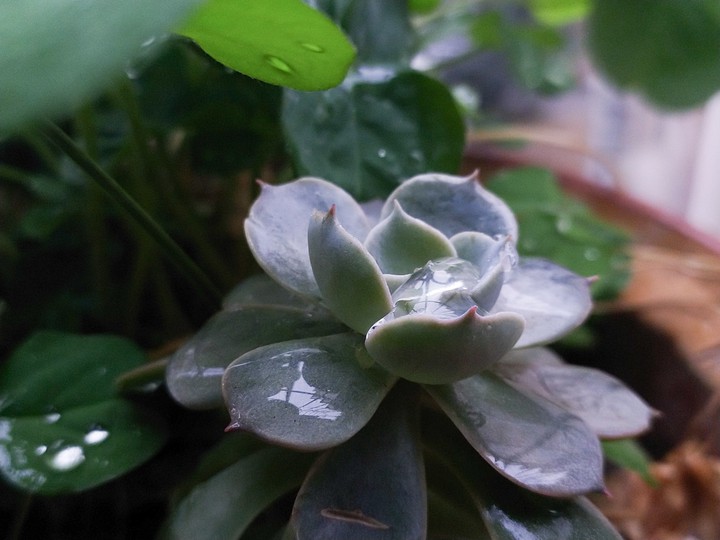 雨天