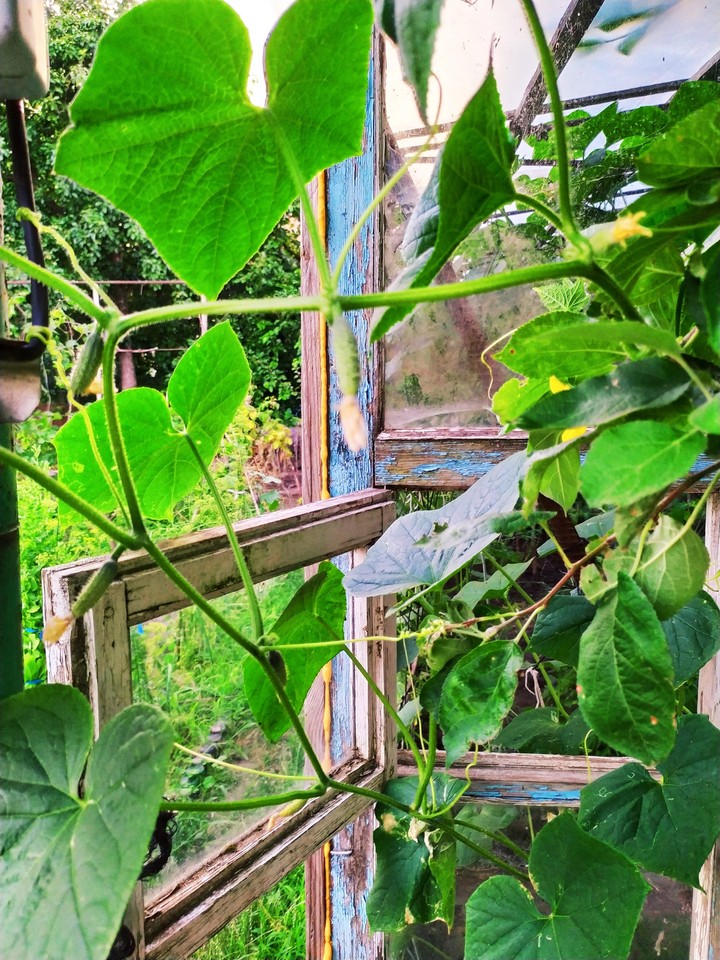 Сила природи; The power of nature