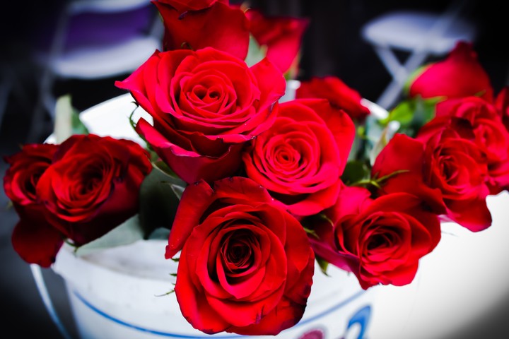Roses