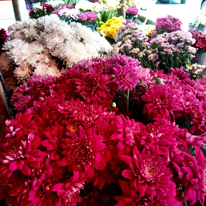 flower