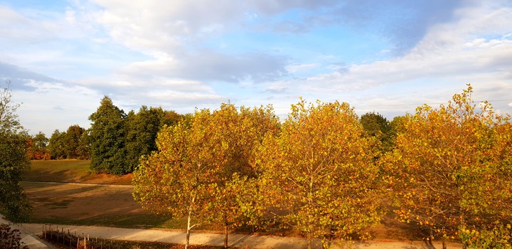 automne