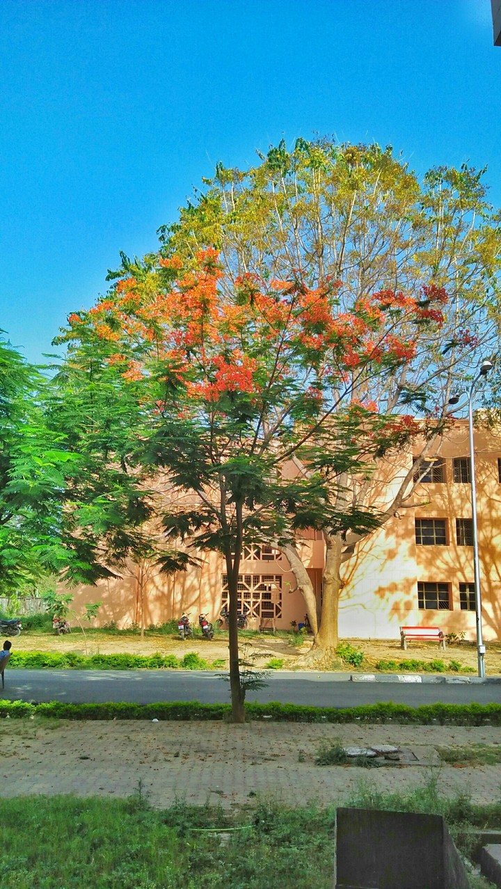 Nature at its best