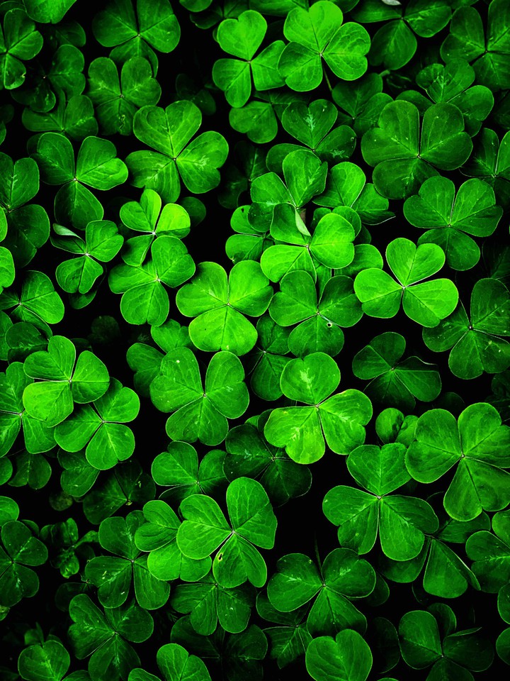 GREEN   HD
