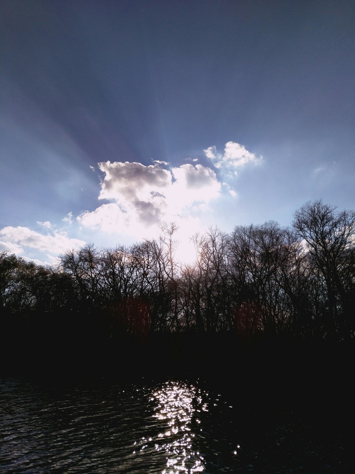 #nature