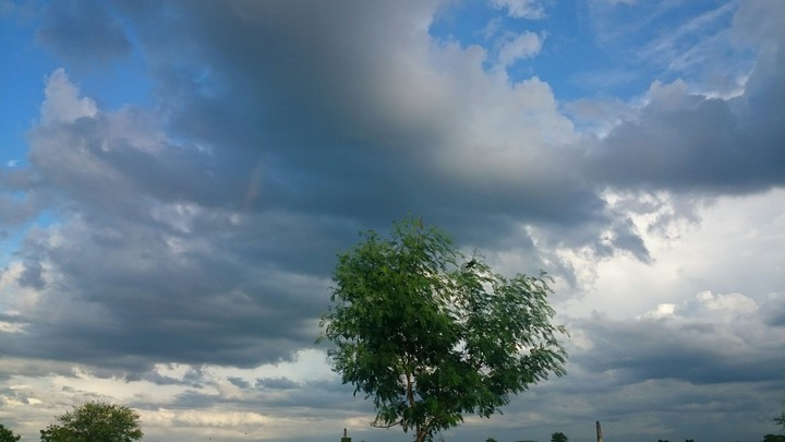 look at the sky