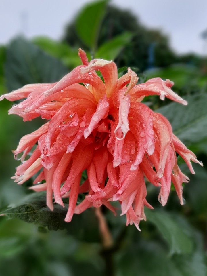 After rain