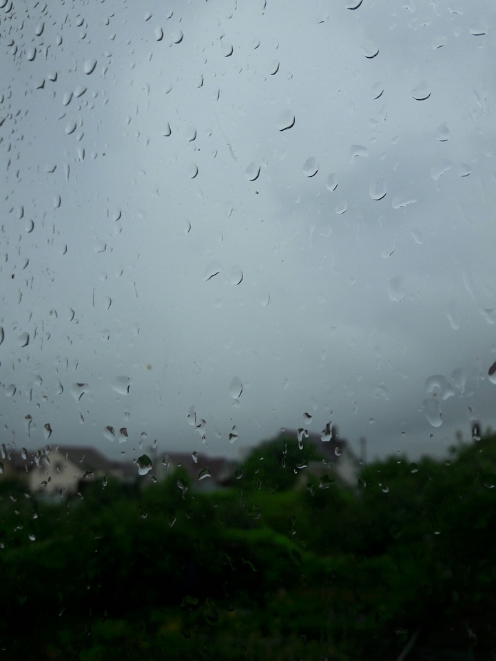 rain