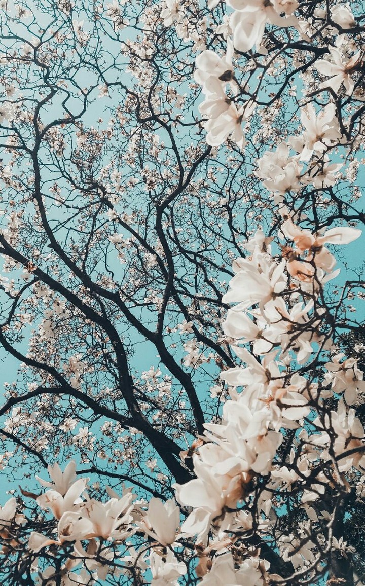 beautiful