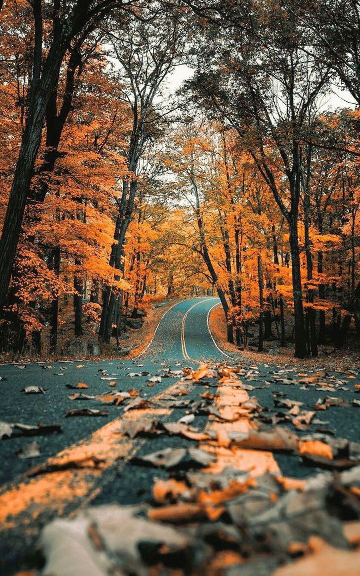 Autumn?