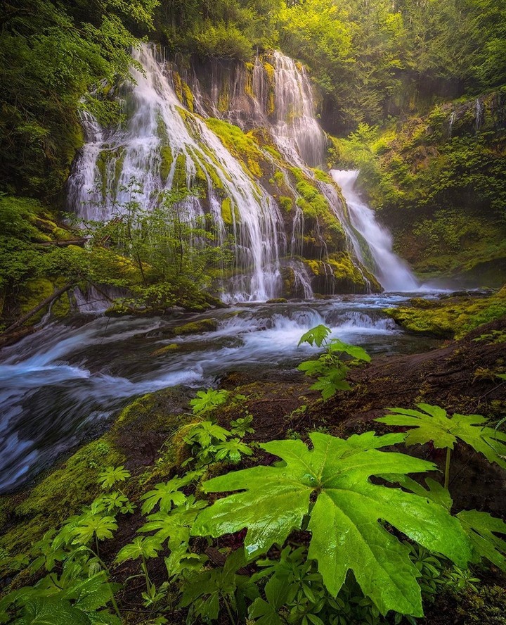 #waterfalls