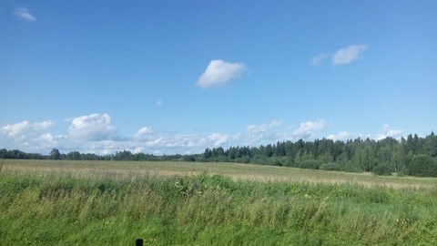 sunny day