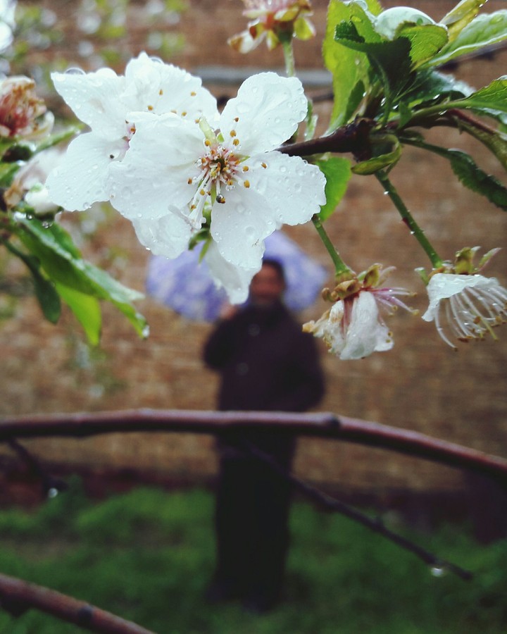 rain