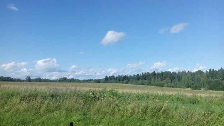 sunny day