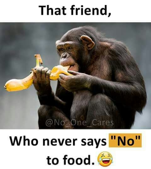 funny picture