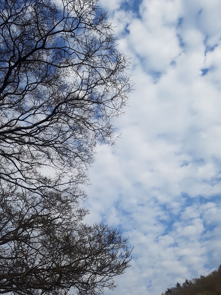 sky