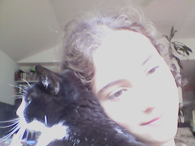 my cat my love?